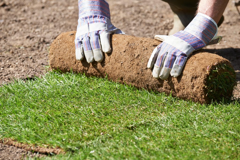 Vous hésitez à choisir le gazon comme couvre-sol sur votre terrain ? Sachez que la pelouse apporte plusieurs bienfaits tant sur le plan de l’environnement, que de la santé.