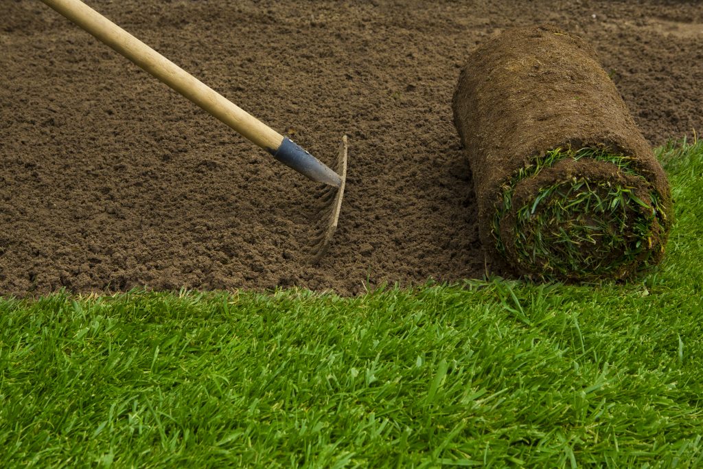 La pose de gazon en plaques est une pratique simple mais importante, qui doit être bien effectuée pour favoriser l'établissement d'une pelouse en santé.